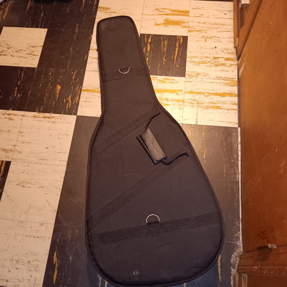 Electric guitar case